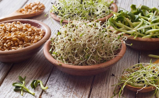 ارزش غذایی جوانه های خوراکی